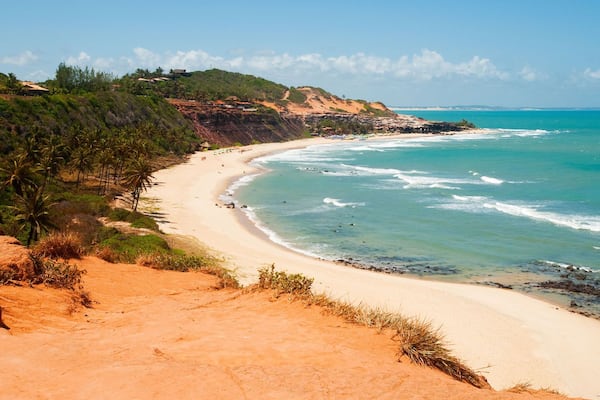 Beautiful beach with palm trees at Praia do Amor near Pipa Brazil