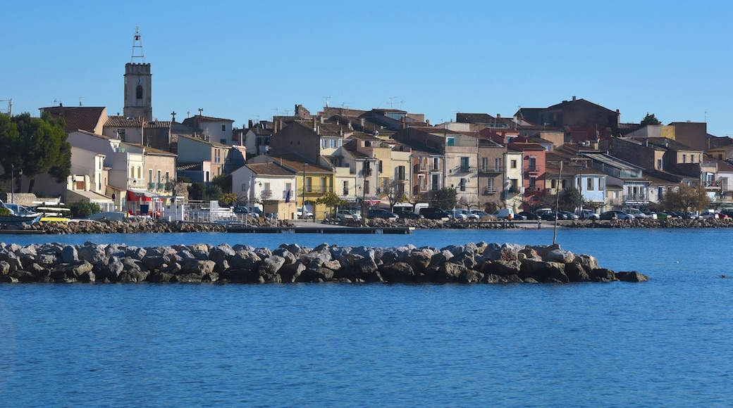The town of Bouzigues, on the Etang de Thau, a lagoon in the Languedoc region of France famous for its oysters