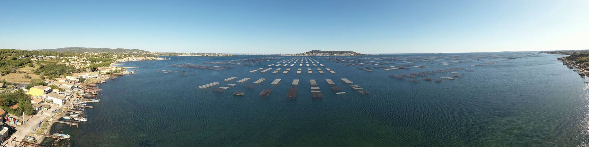 Panorama of oyster tables in Bouzigues on the Thau pond, in Herault in Occitania, France