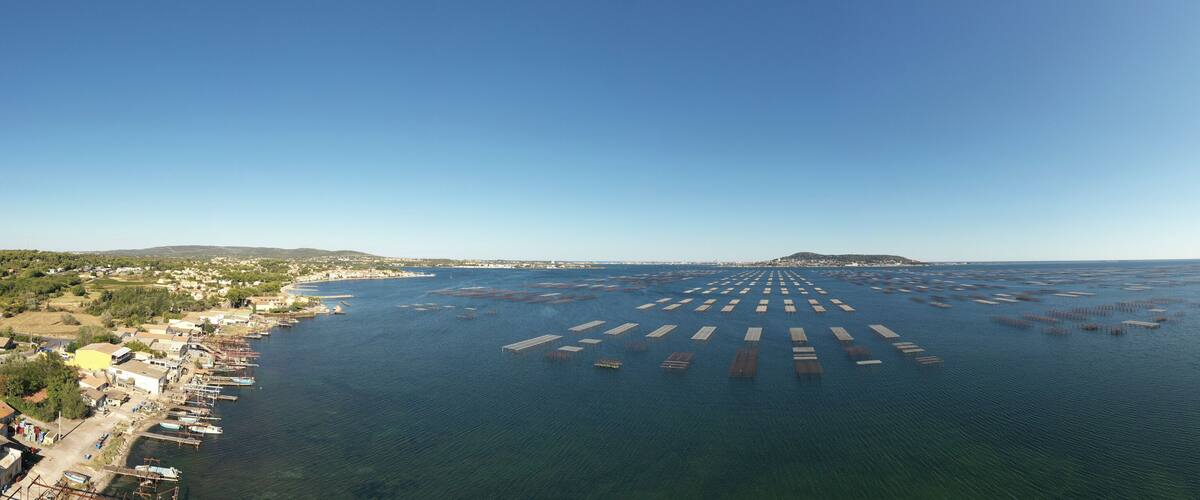 A coastal town with a marina and aquaculture farms.