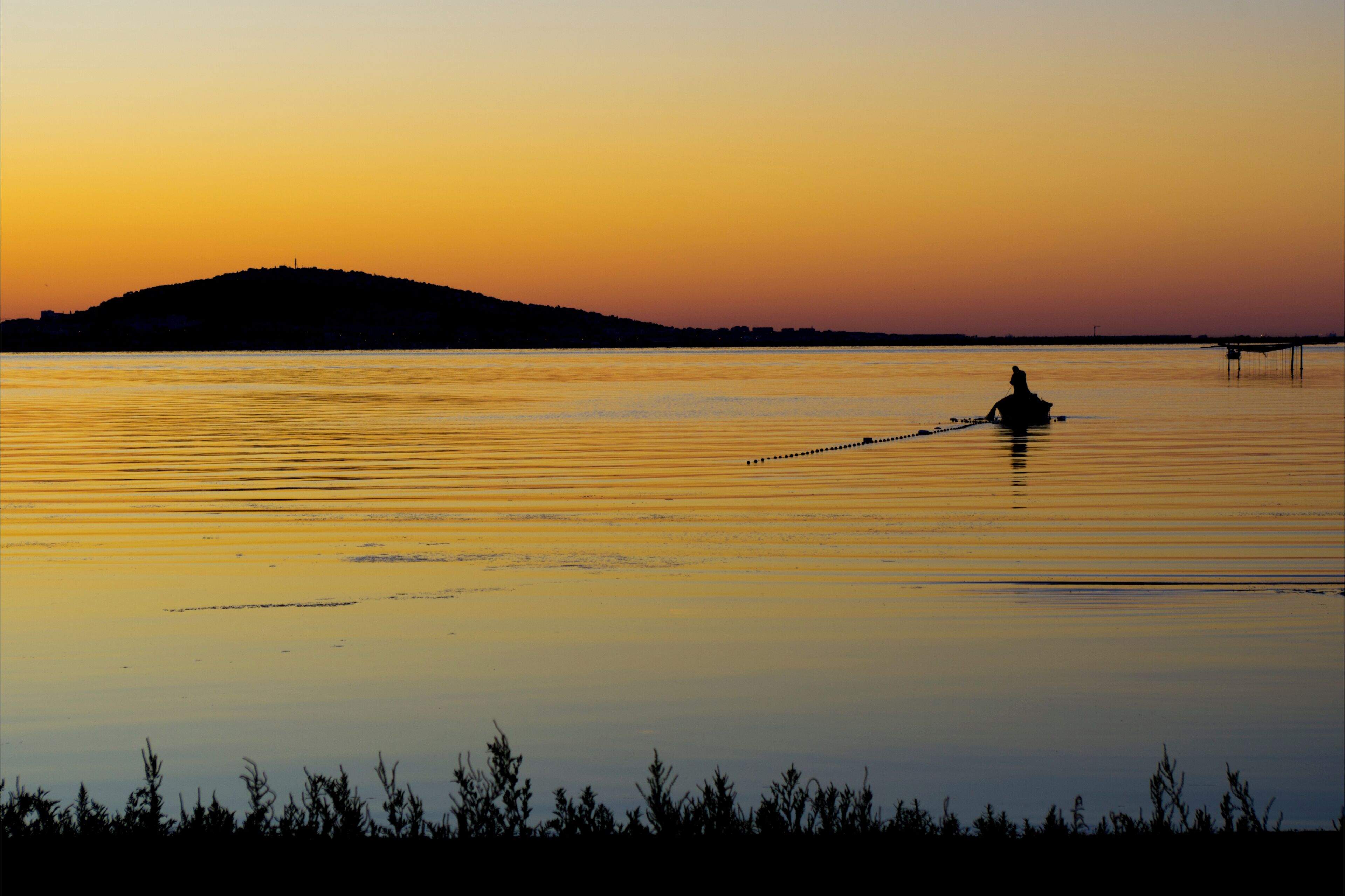 Mèze(34140), Scène de pêche au Amoutous.