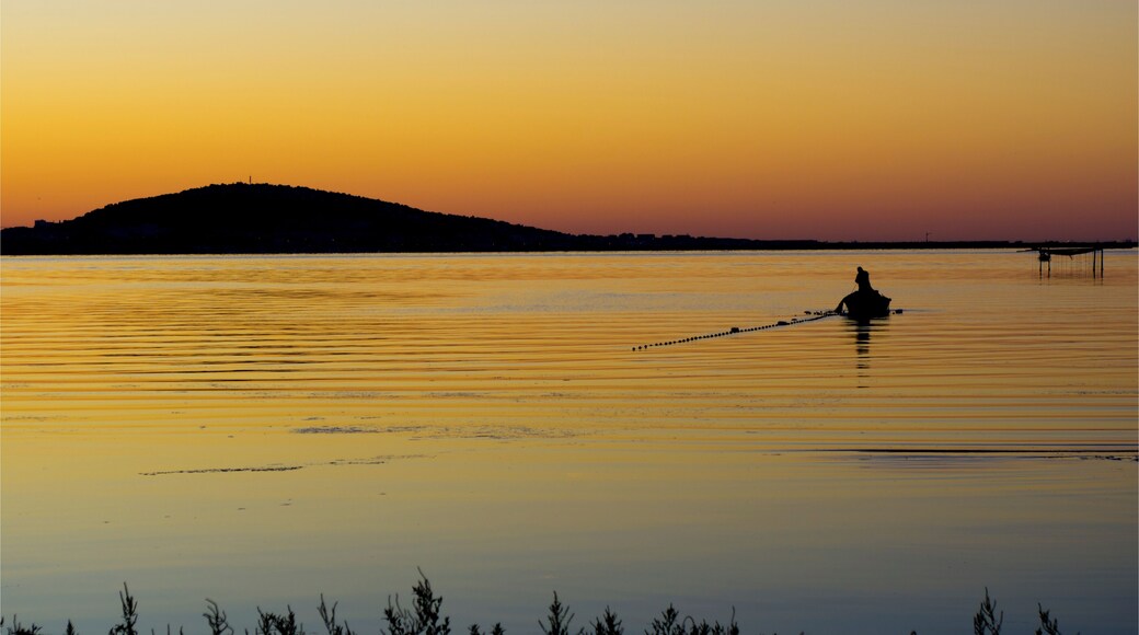 Mèze(34140), Scène de pêche au Amoutous.