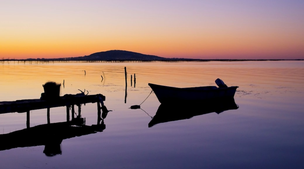 Mèze (34140), Pontons des Amoutous.