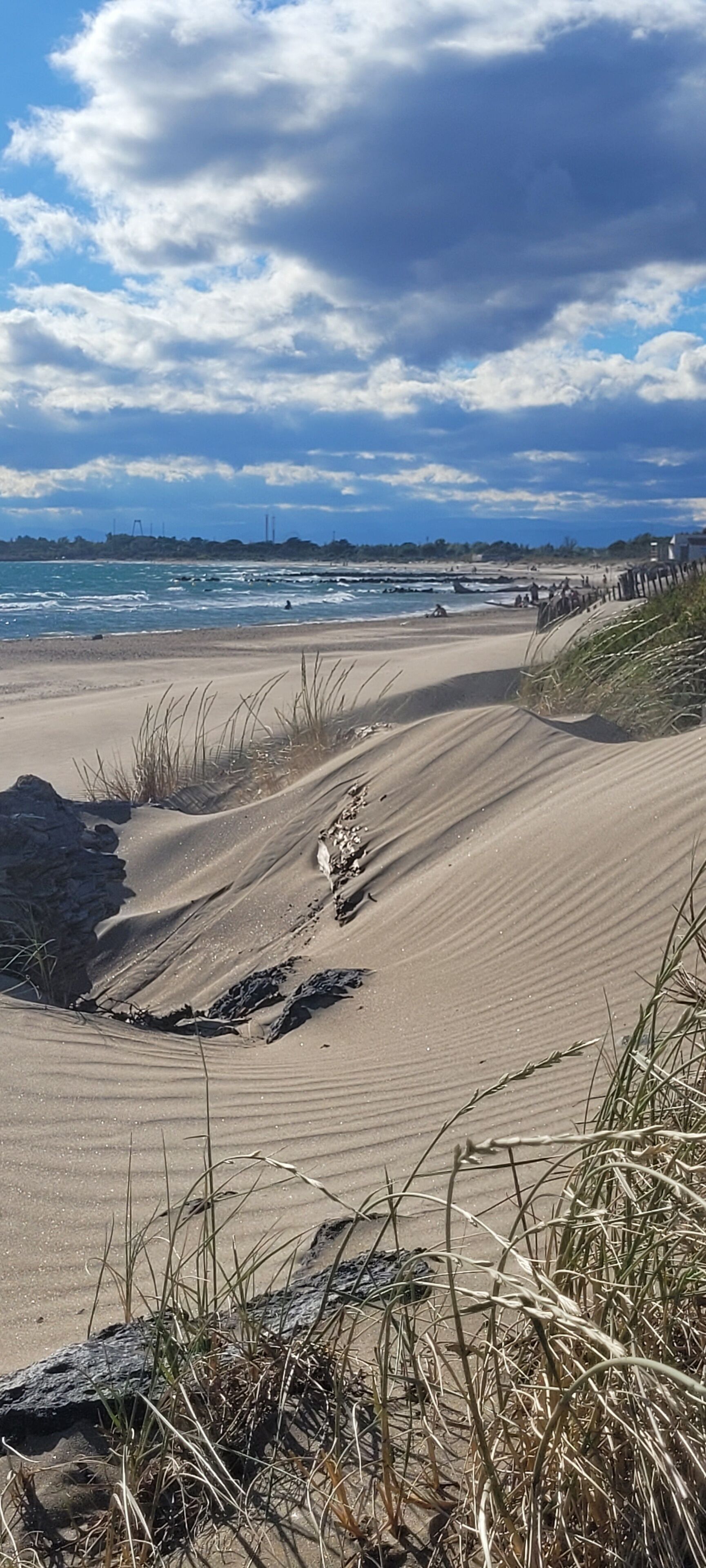  Plage de  Méditerranée, littoral Occitanie, rivage près de Béziers, plage de la Tamarrissière  à Vias, Hérault, Languedoc Roussillon, Sud de la France, Méditerranée Occidentale, érosion, oyats, dunes