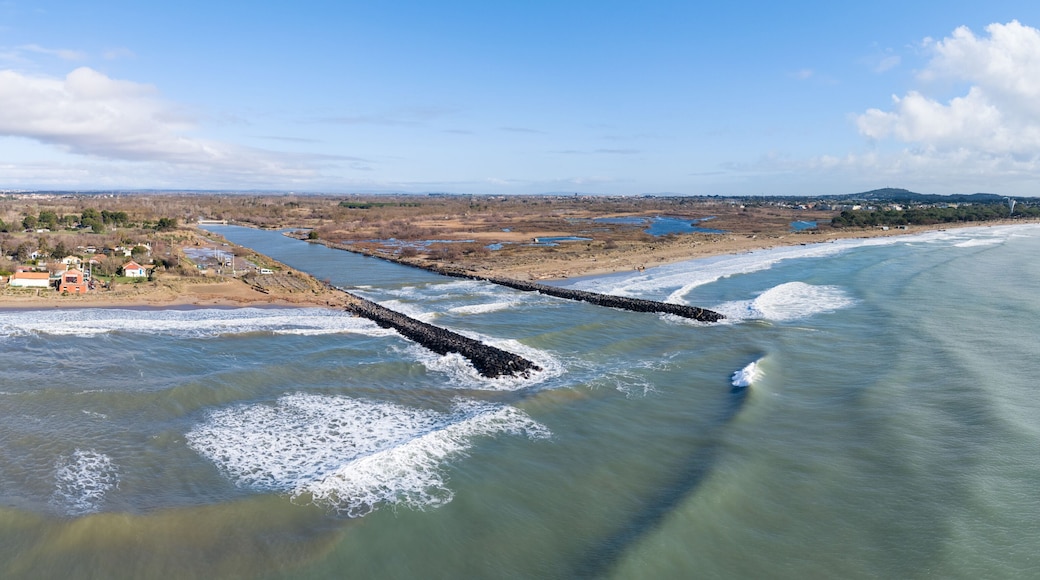 Panorama de Vias plage et de l'étang du clot et de la plage de la tamarissière dans le département de l'hérault en région occitanie (france)