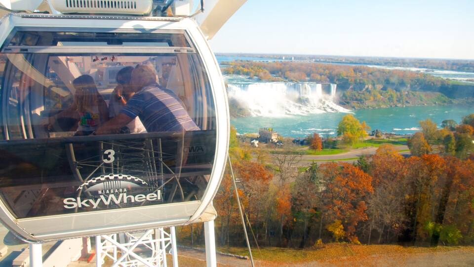 Niagara SkyWheel showing a cascade, autumn leaves and a gondola