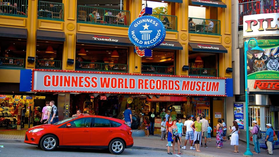 Niagara SkyWheel which includes a city, street scenes and signage