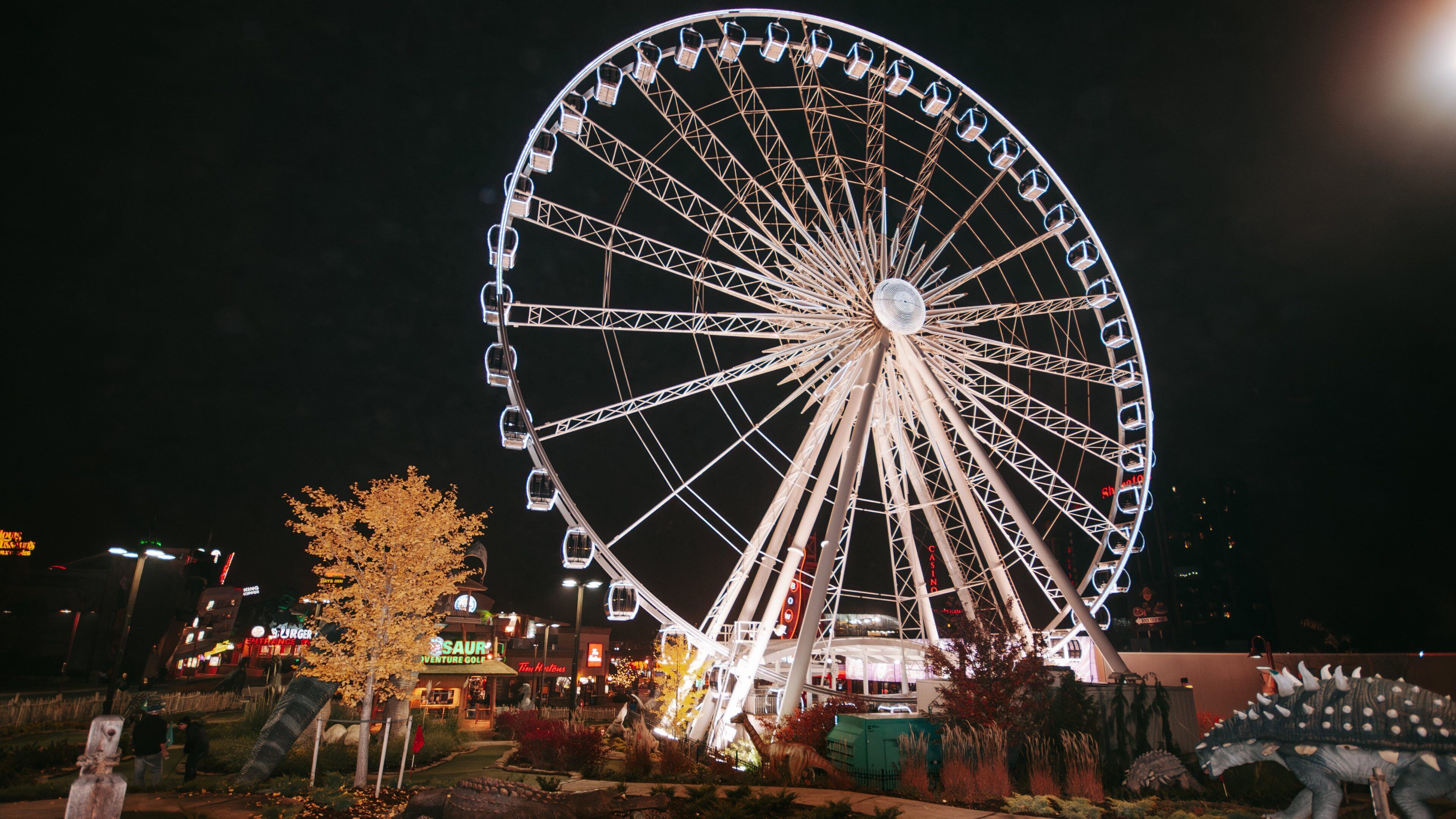 Niagara SkyWheel featuring rides and night scenes