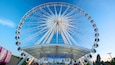 Niagara SkyWheel showing signage and rides