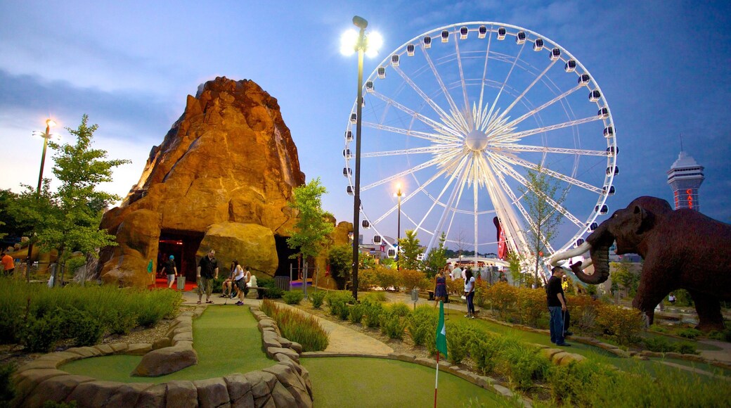 Niagara SkyWheel which includes rides