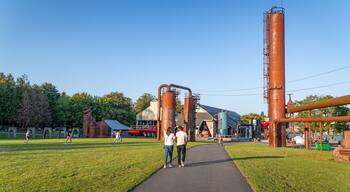 Gas Works Park showing a park and industrial elements as well as a couple
