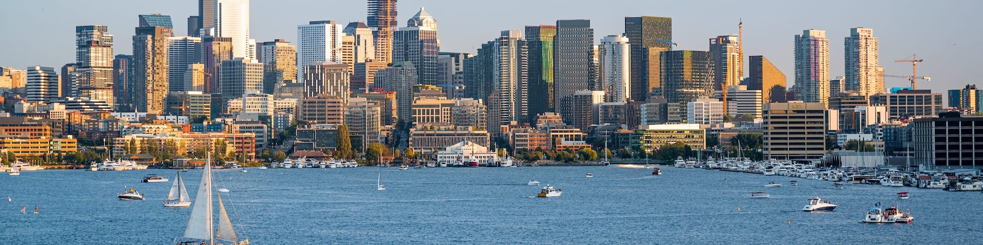 Gas Works Park showing a bay or harbor, landscape views and a city
