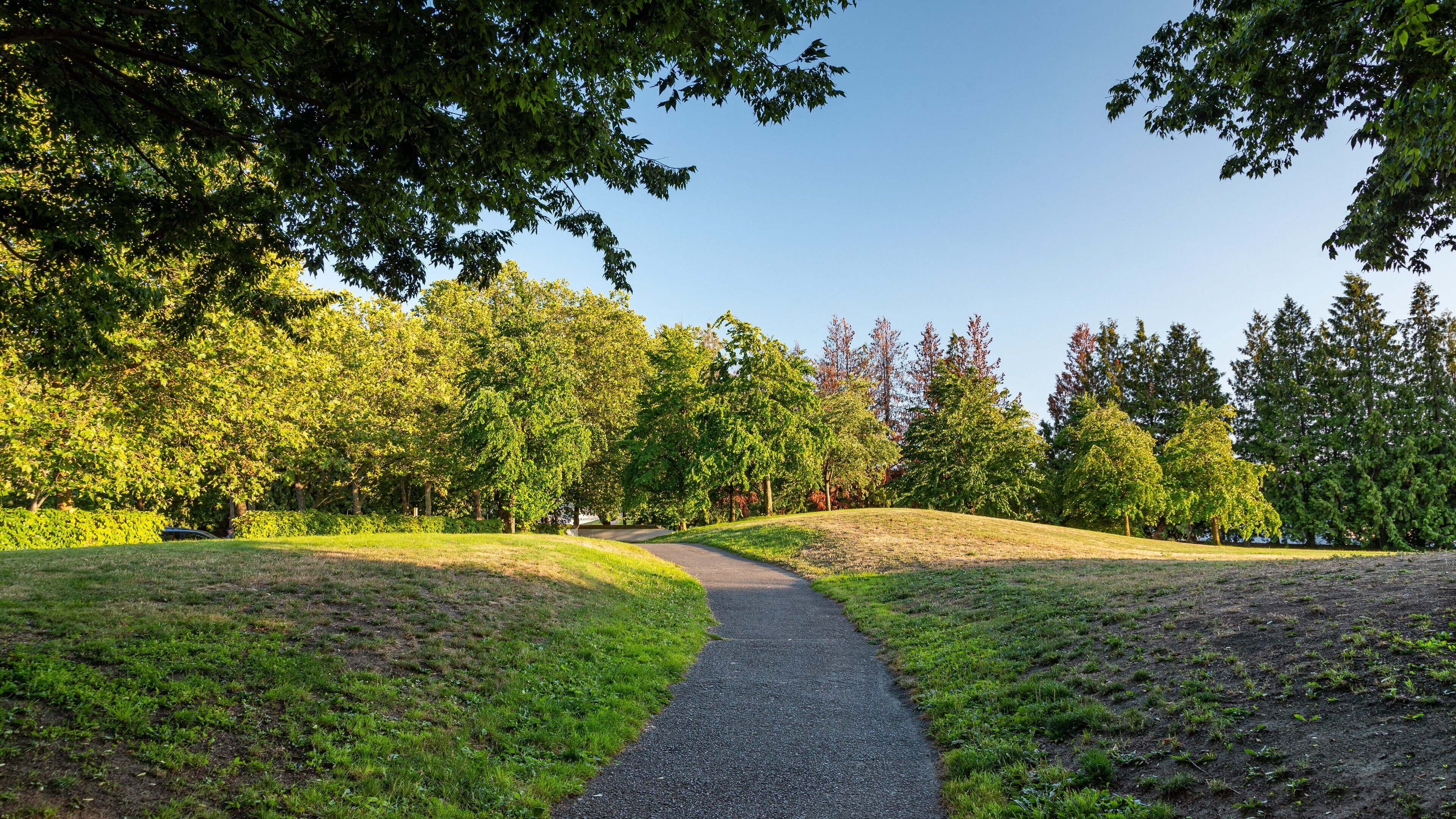 Gas Works Park which includes a garden