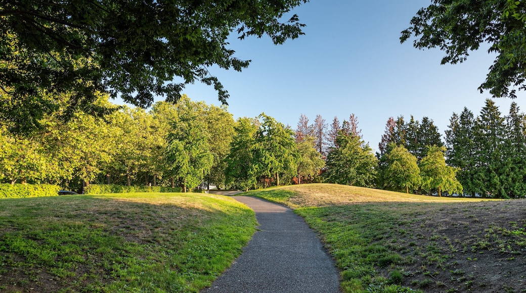 Gas Works Park which includes a garden