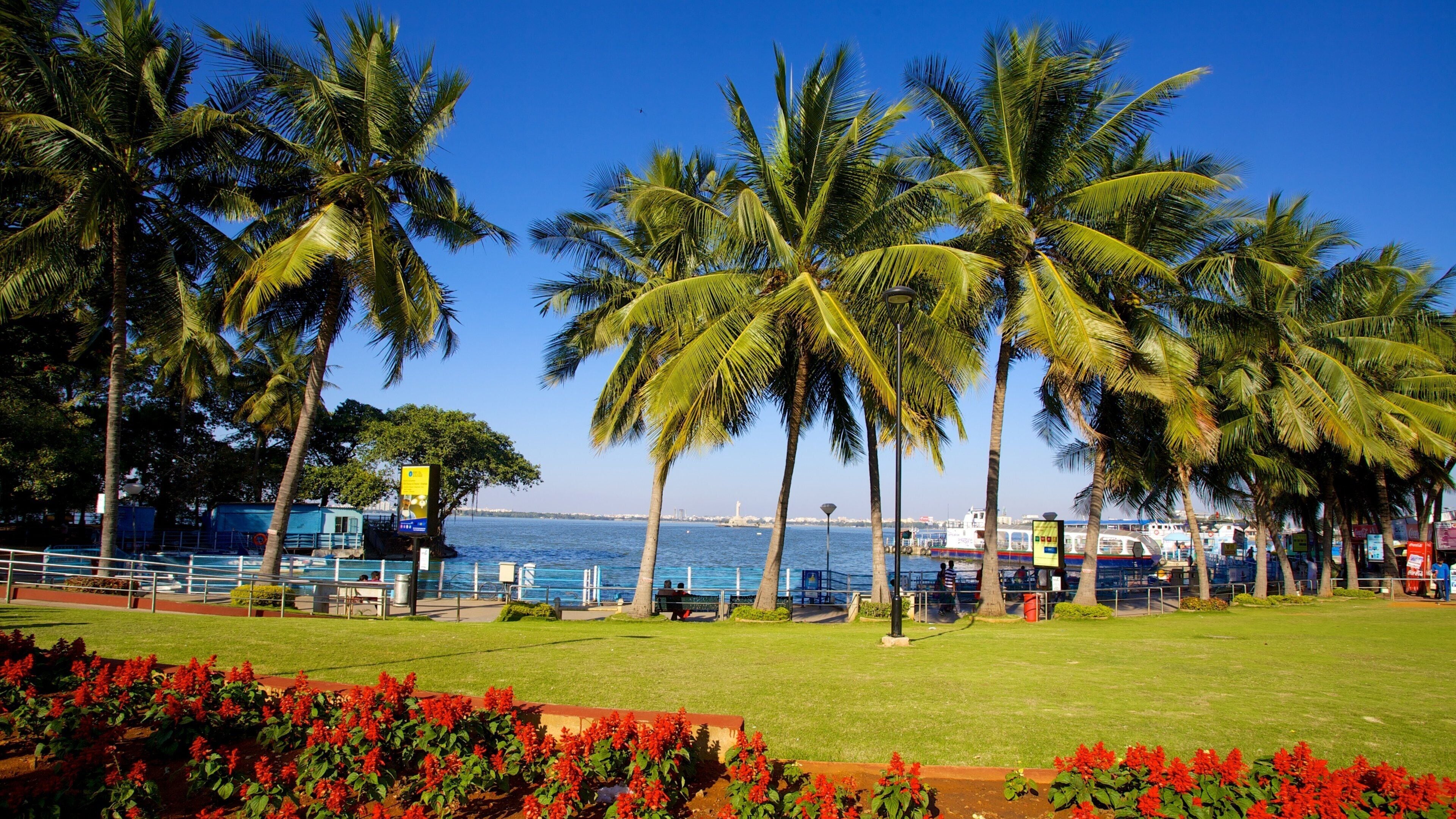 Un paseo marítimo con palmeras, vista al mar y un muelle para barcos.