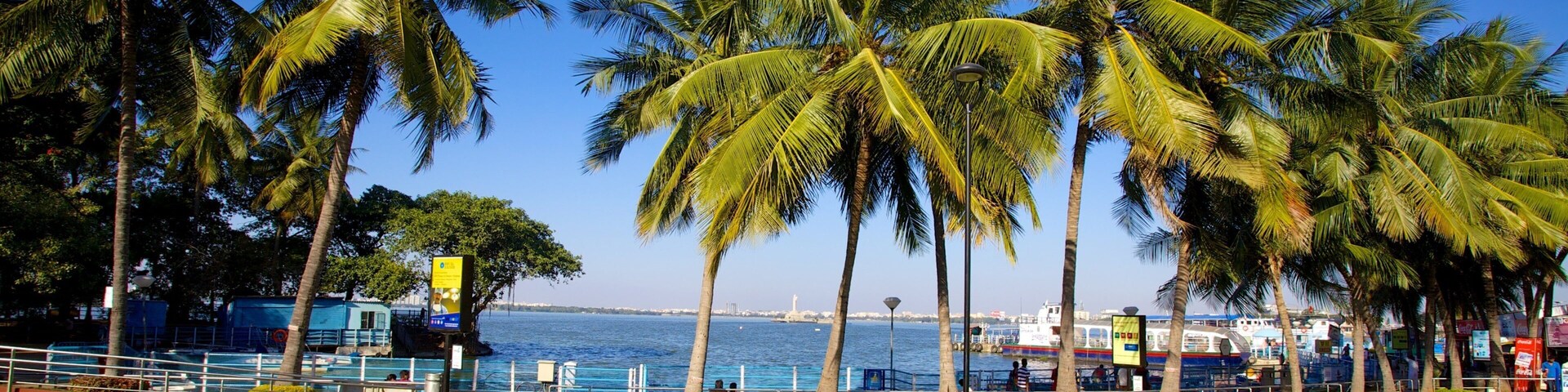 Un paseo marítimo con palmeras, vista al mar y un muelle para barcos.