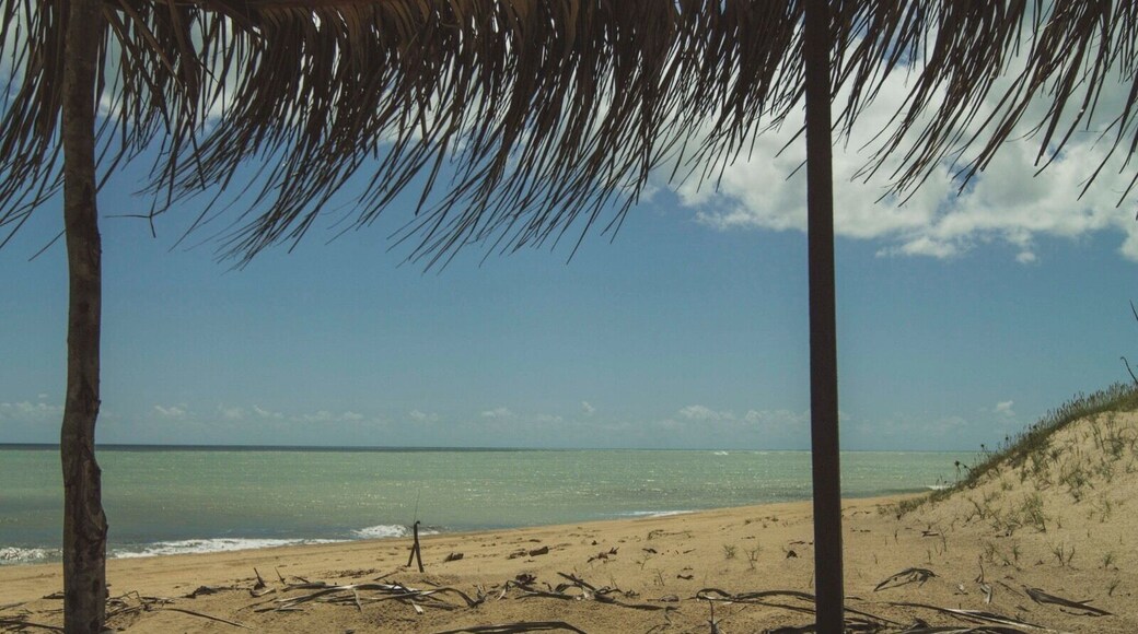 A place to rest your body and soul - São Miguel do Gostoso • Brasil