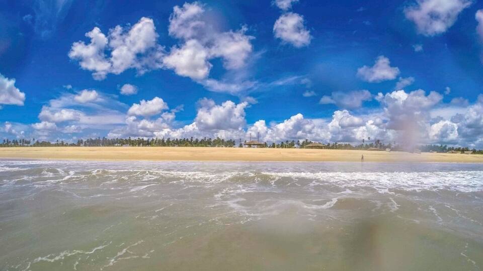 A beach with waves, a clear sky, and a line of trees in the distance.