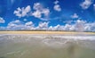 Uma praia com ondas, céu claro e uma linha de árvores ao longe.