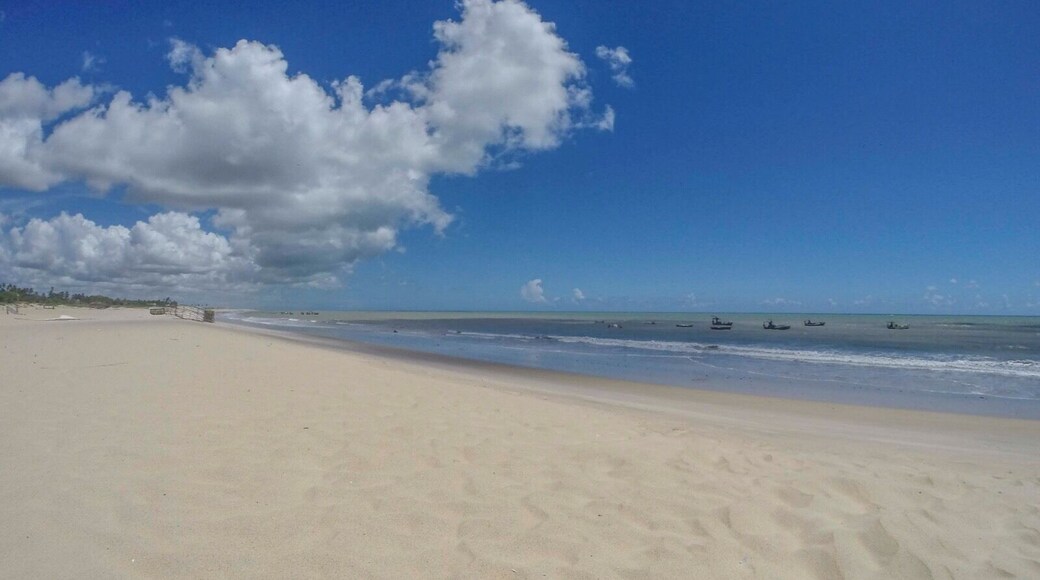 Preserve this - São Miguel do Gostoso - RN • Brasil