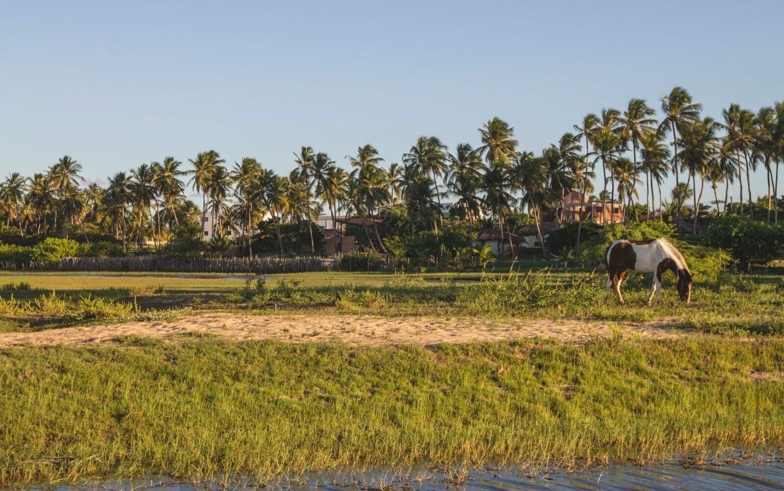 Feel the breeze.. #nature #green #brasil #rn