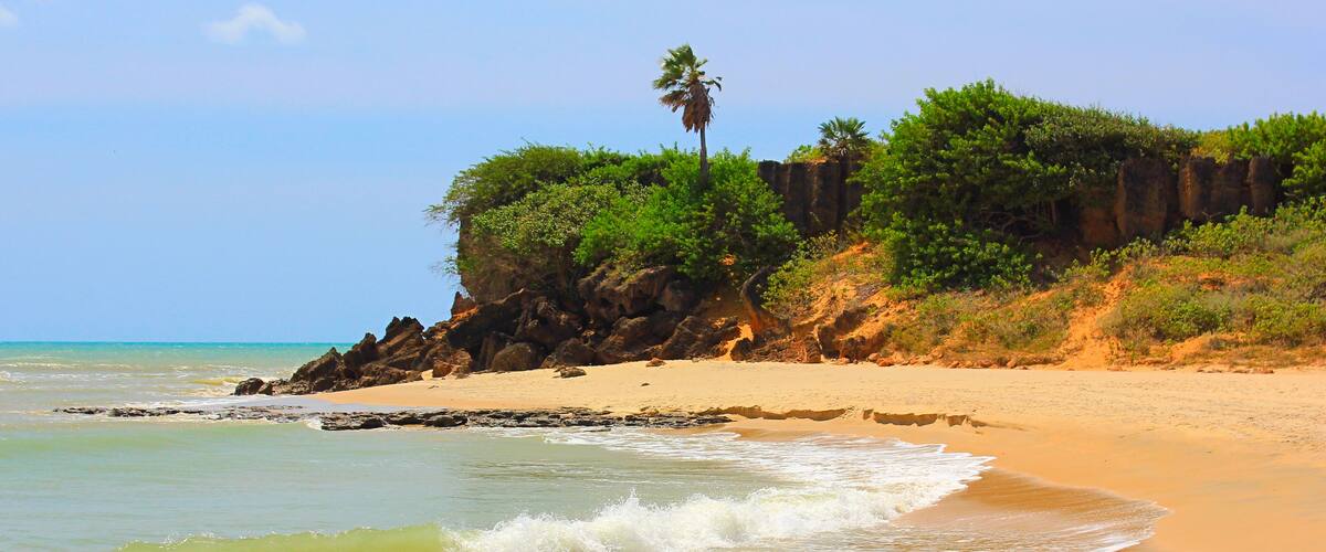A sandy beach with gentle waves, a palm tree, and rocky cliffs with greenery.