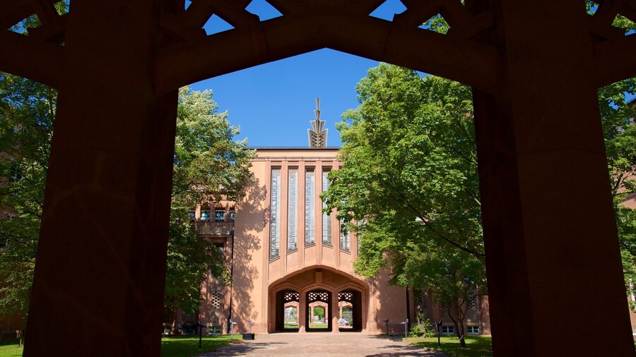 Grassi Museum showing a garden