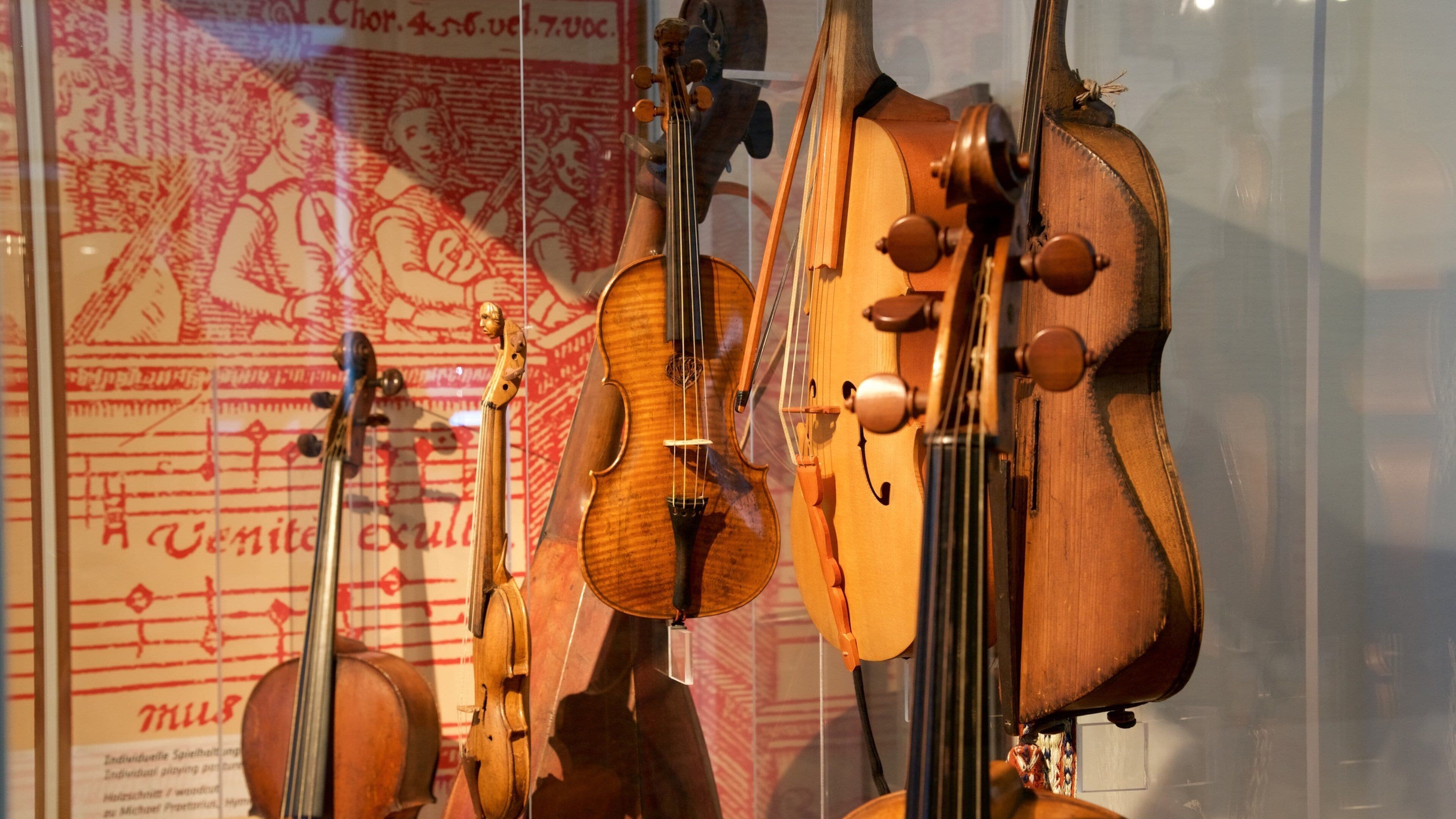 Museo Grassi ofreciendo vistas interiores