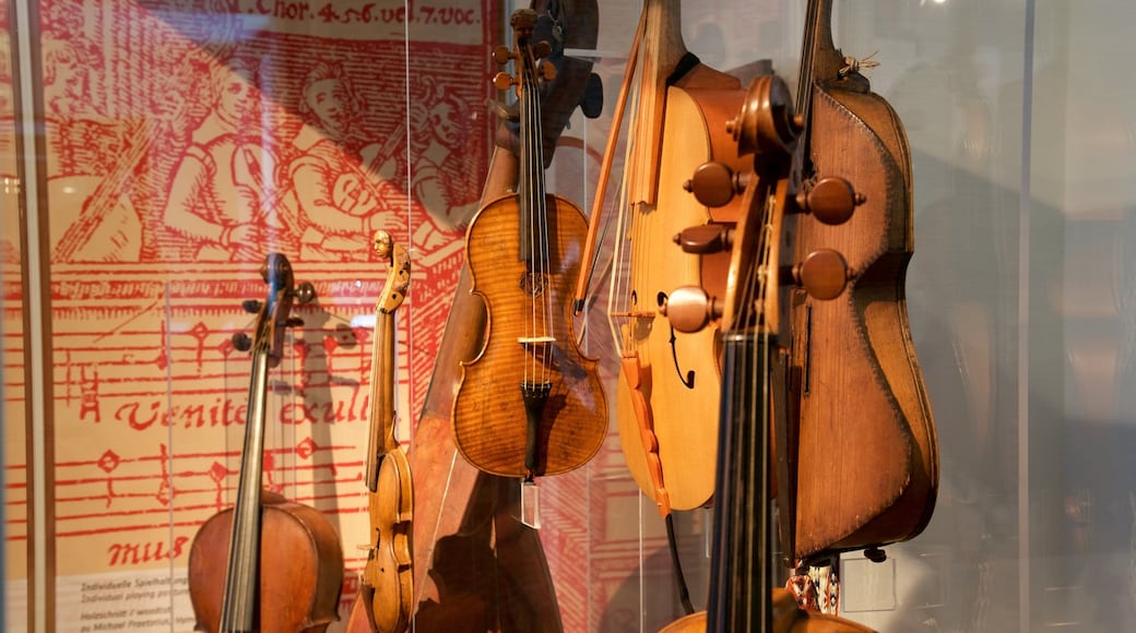 Museo Grassi ofreciendo vistas interiores