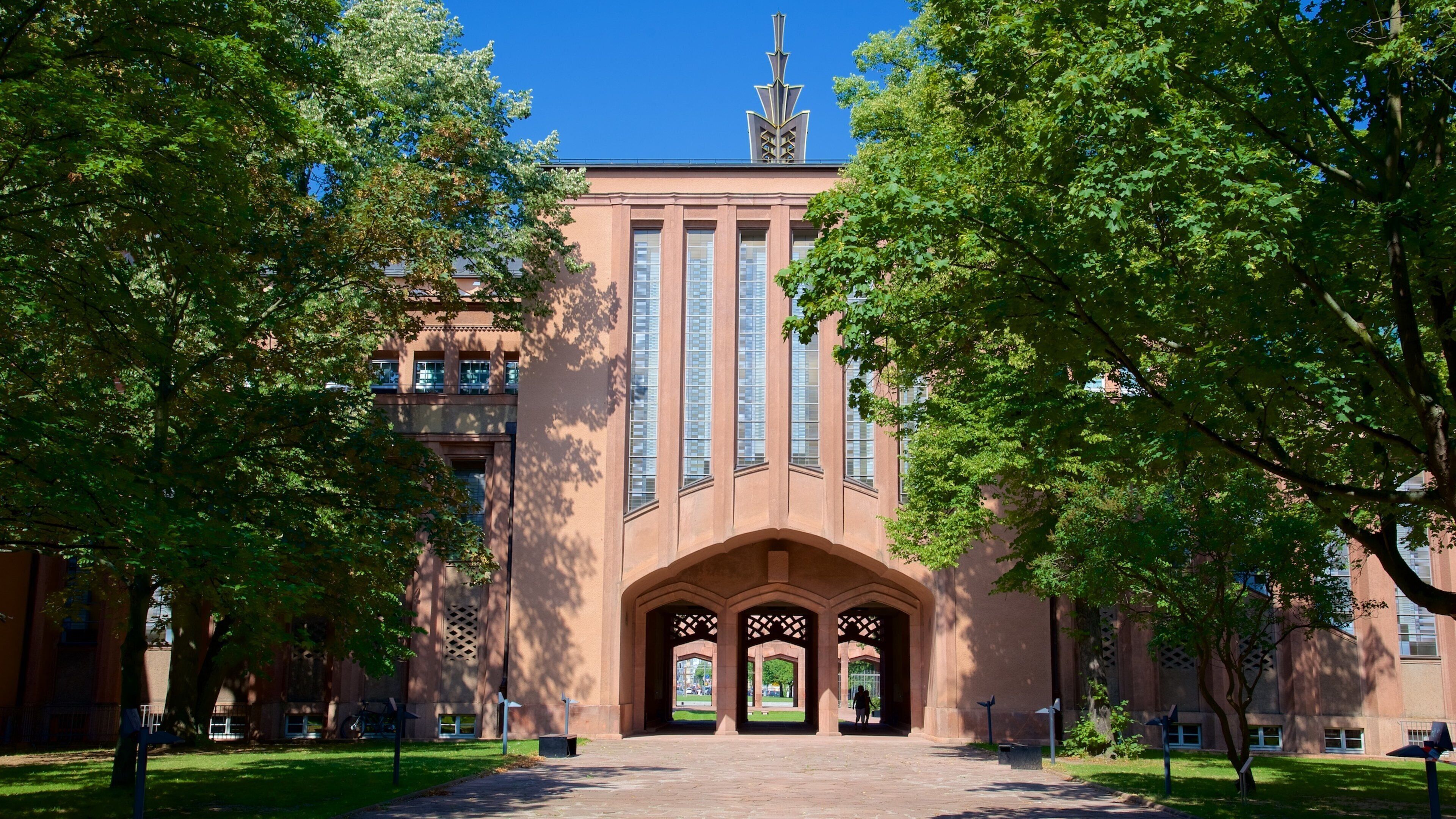 Grassi museum fasiliteter samt park