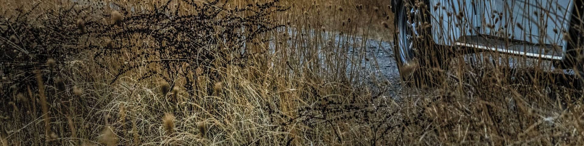 Sunsets are prof that no matter what happens, every day can end beautifully. My Old (but gold) Volkswagen beetle 1302S '72 #aljustrel #Portugal #summer #outdoors #volkswagenbeetle #goldenhour