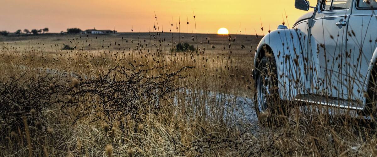 A vintage car parked in a field with tall grasses and a sunset in the background.