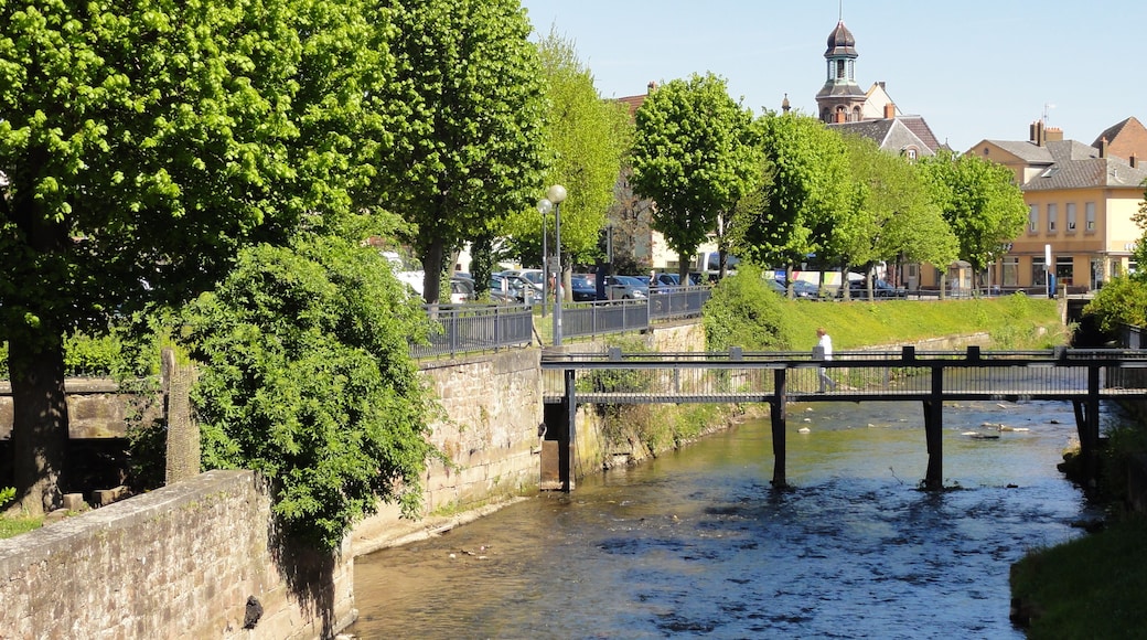 Alsace, Bas-Rhin, Saverne, 1 quai Zorn, La Zorn.