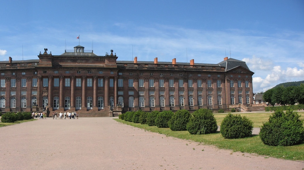 SAVERNE le Château des ROHAN vue du parc