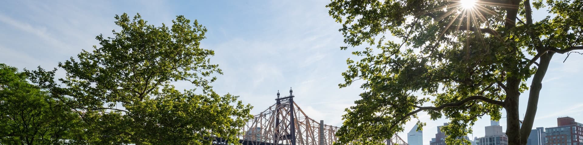 Queensbridge Park which includes a river or creek, a bridge and a sunset