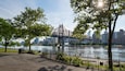 A riverside park with a bridge, trees, and a city skyline.