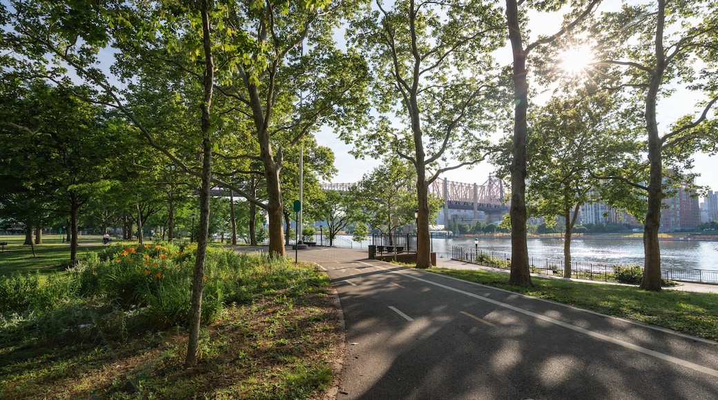Queensbridge Park which includes a sunset and a park