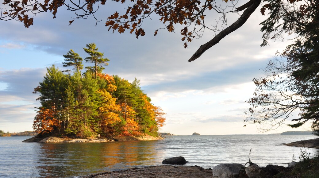 ウルフのネックウッズ州立公園