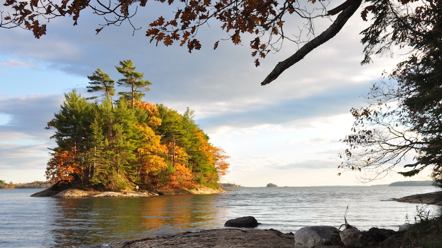 ウルフのネックウッズ州立公園
