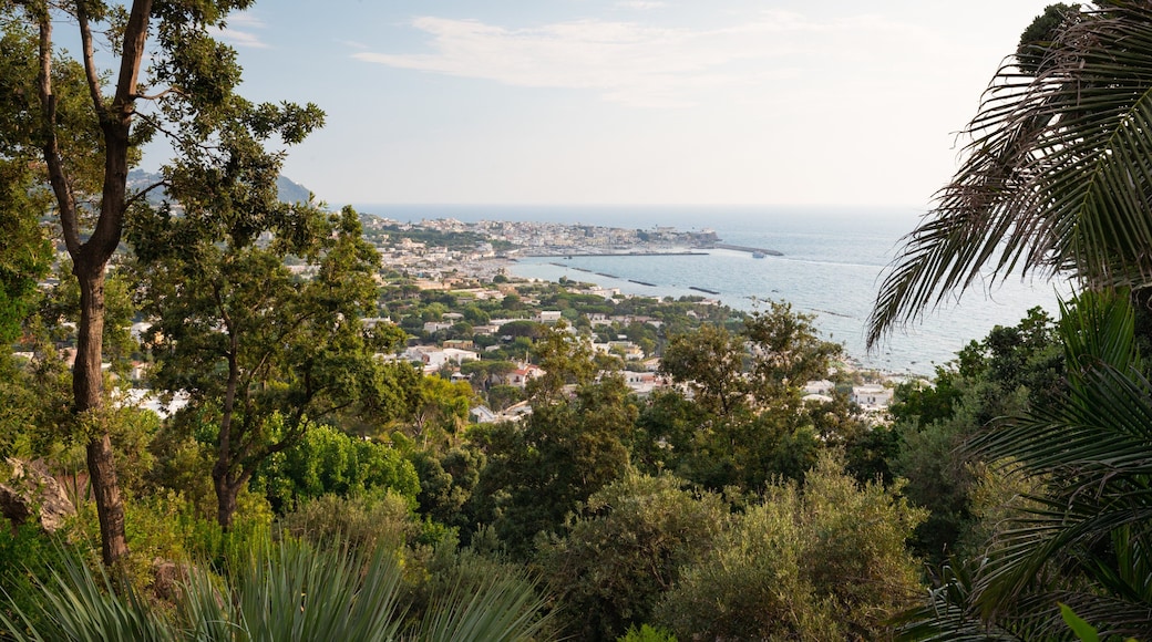 Giardini la Mortella which includes a coastal town, general coastal views and landscape views