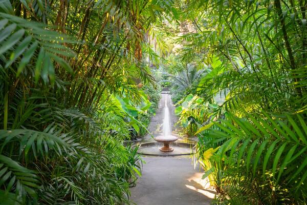 Giardini la Mortella showing a fountain and a garden