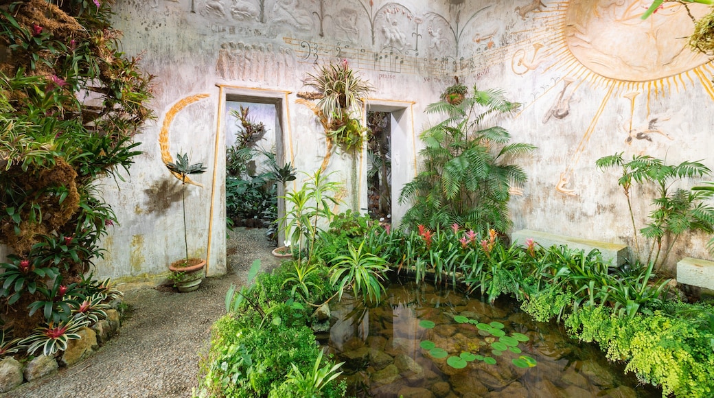 Giardini la Mortella showing heritage elements, a garden and a pond