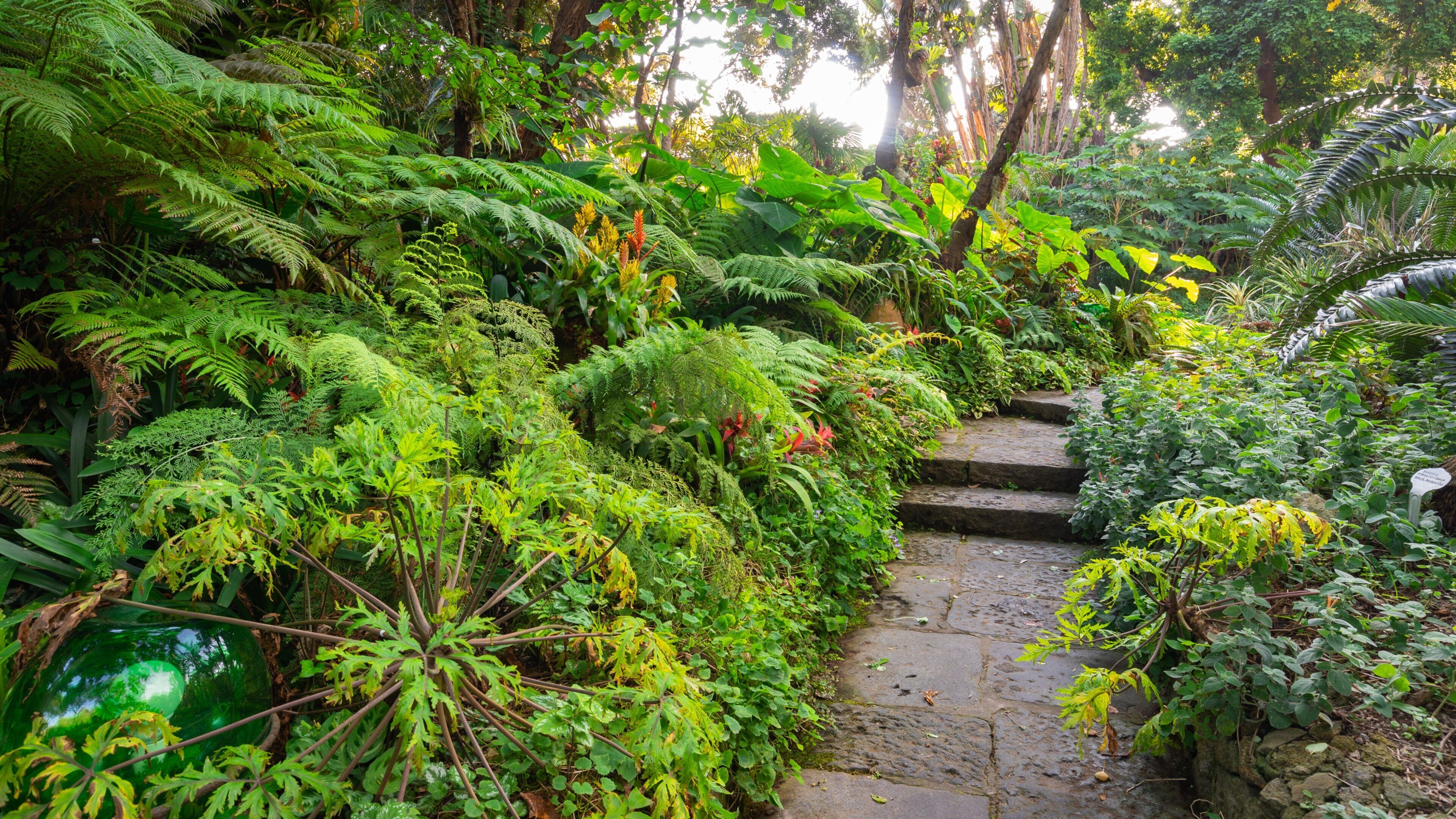Giardini la Mortella showing a park