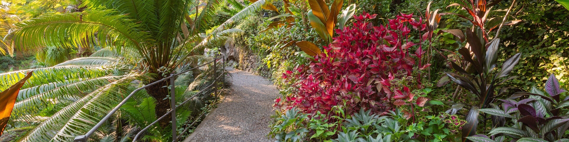 Giardini la Mortella showing a garden