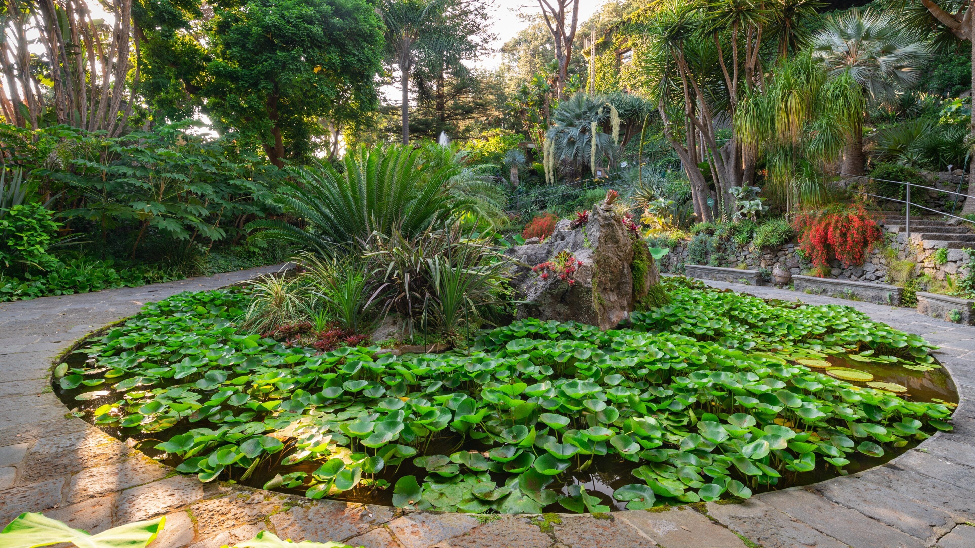 Giardini la Mortella showing a garden