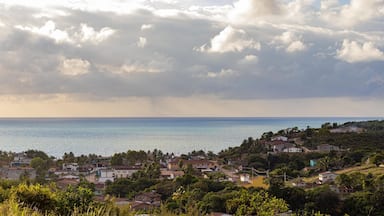 Un pueblo costero con casas, palmeras y vista al mar bajo un cielo parcialmente nublado.