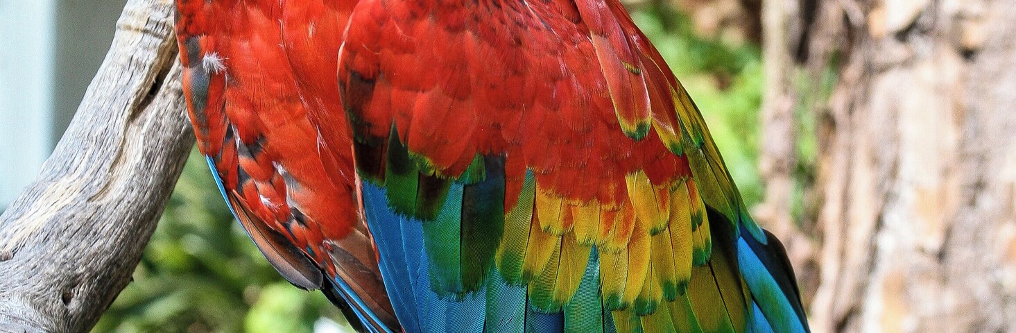 Taken at ZooWorld in Panama City Beach Florida