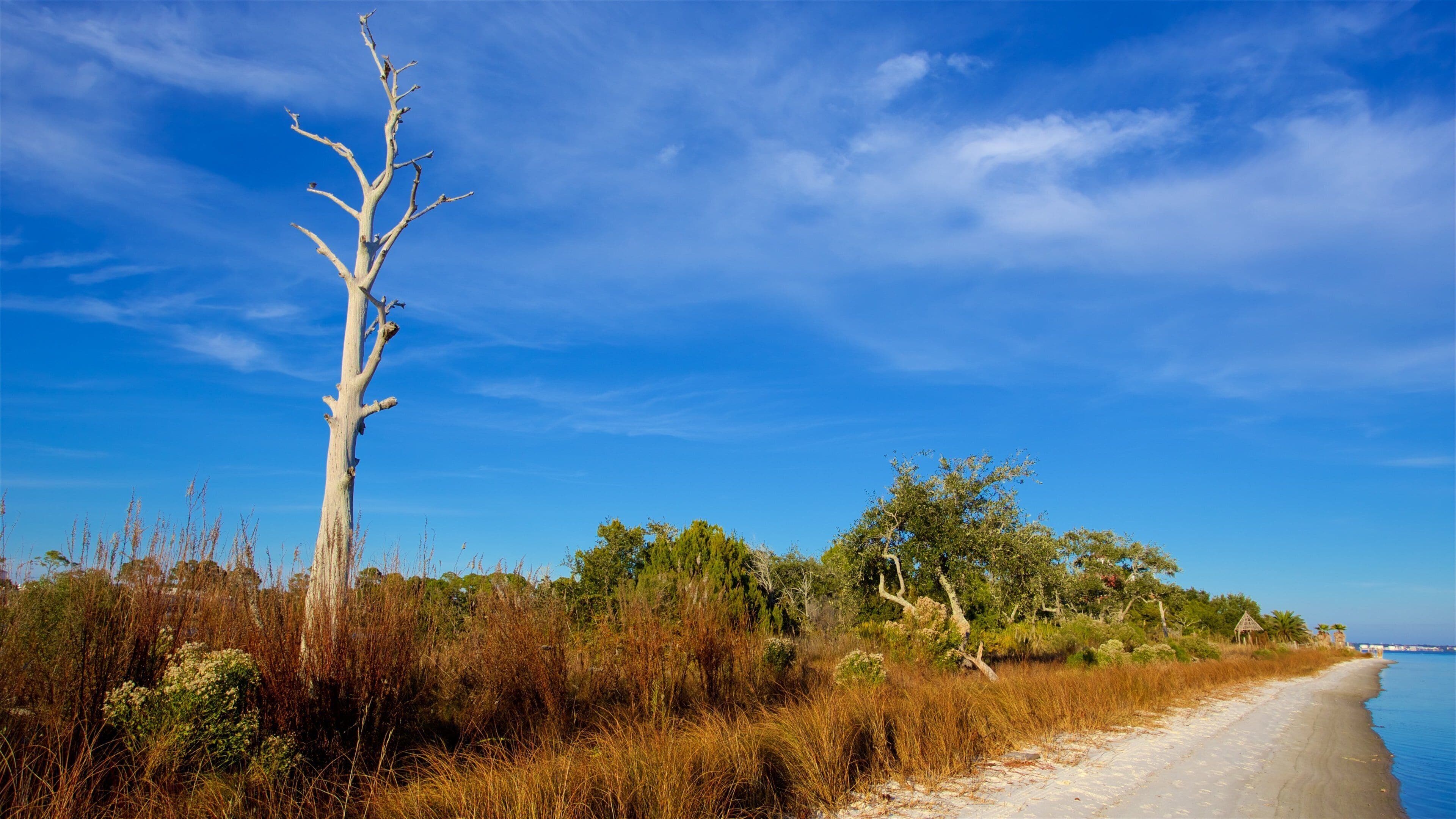 Øvre Grand Lagoon som viser rolig landskap og elv eller bekk