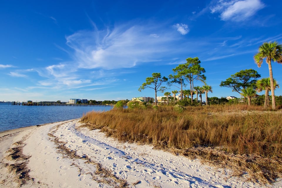 A beach with sand, seaweed, and tall grass.