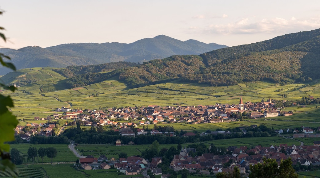 Ammerschwihr au pied des collines sous-vosgiennes